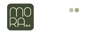 Mora Insight Logo